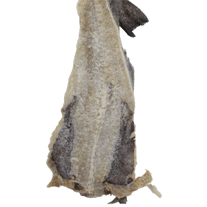 COD OC STD(MED) SEA STAR 50LB